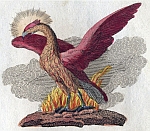 Phoenix Fabelwesen