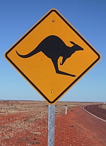 Känguru Warnschild
